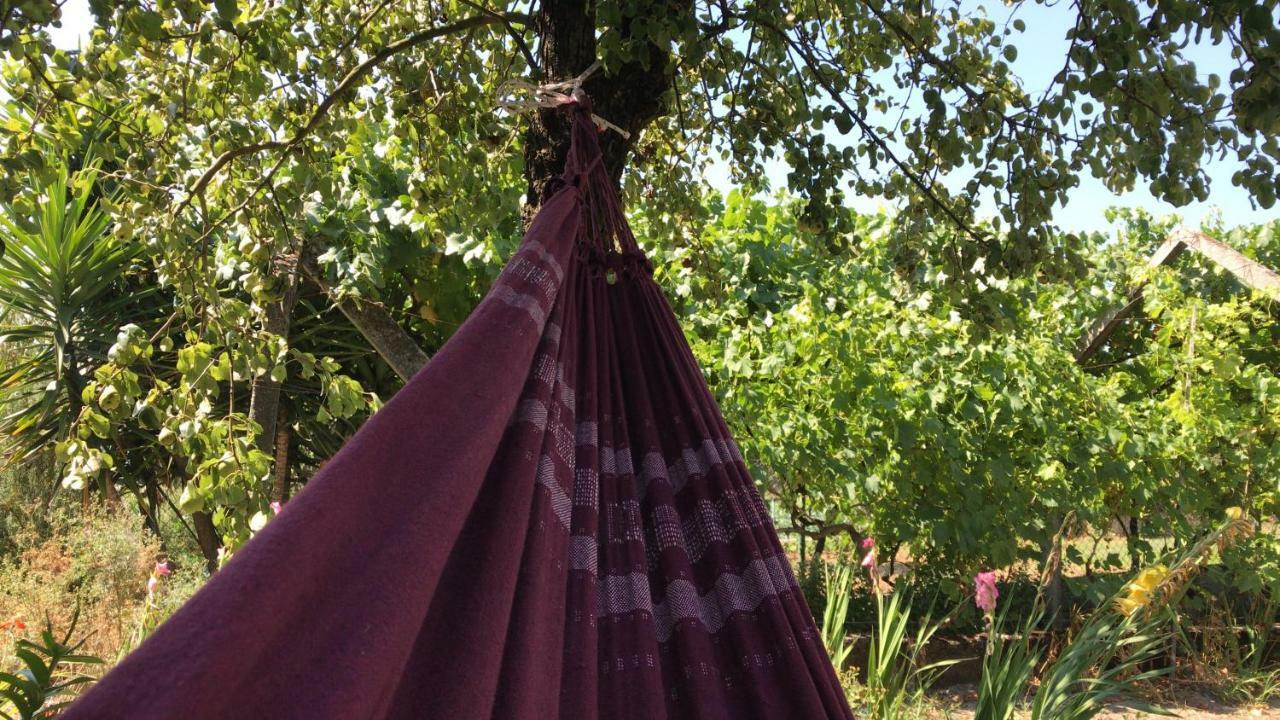 Dds-Dominio Das Sem&Ntes Vouzela Extérieur photo